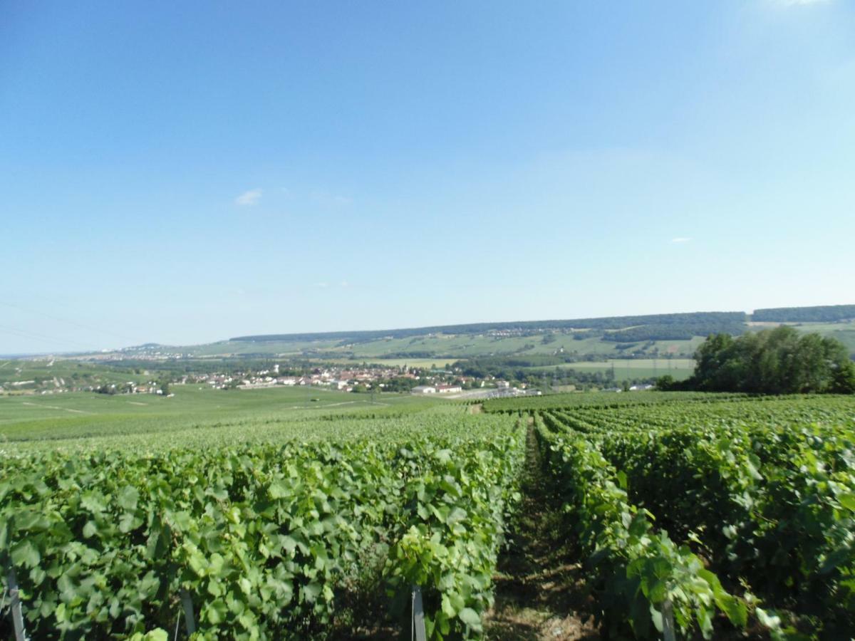 La Mignonette Épernay
