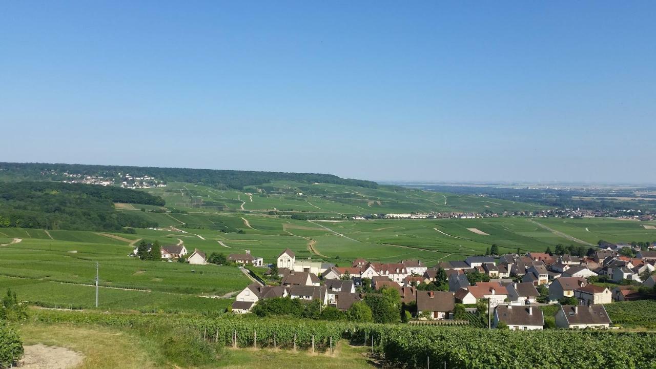 La Mignonette Épernay